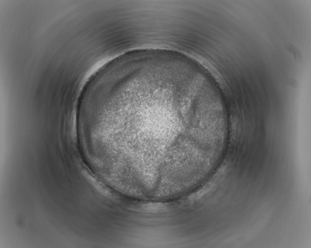 X0000113310982200910131104