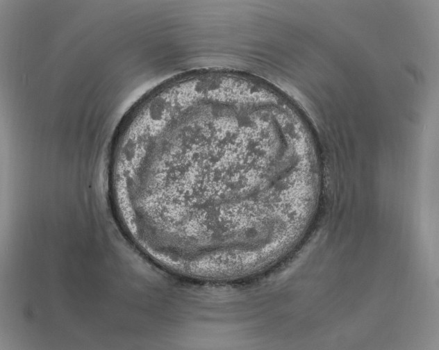 X0000113310983200910131104