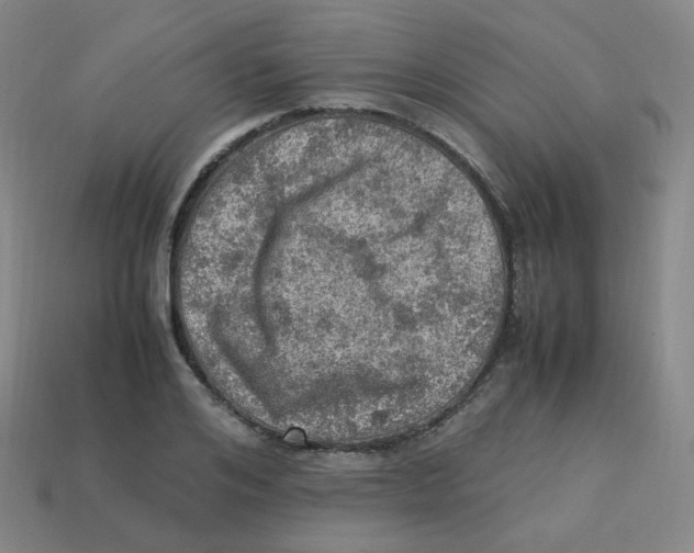 X0000113310984200910131104