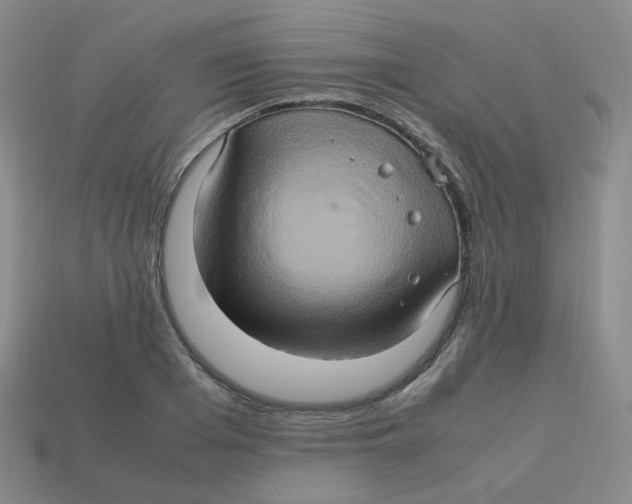 X0000113310985200910131104