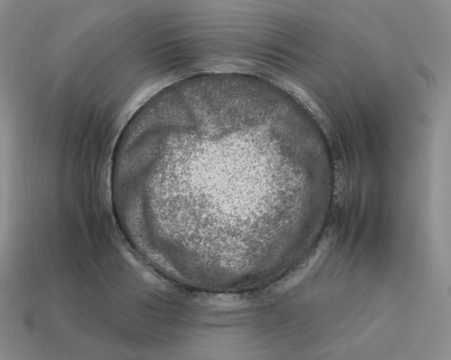 X0000113310986200910131104