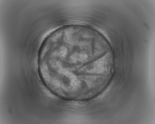 X0000113310987200910131104