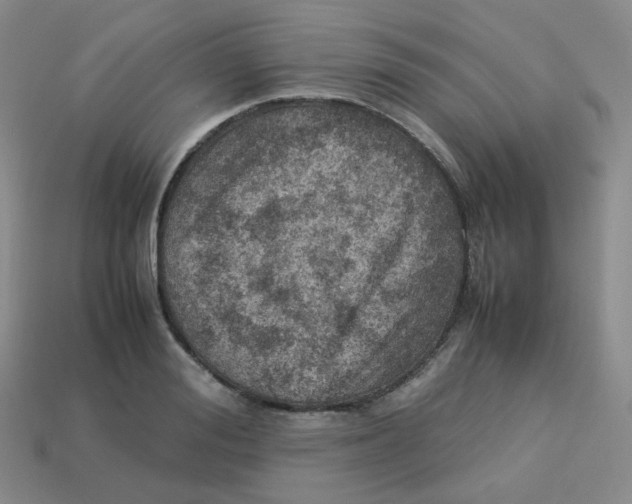 X0000113310988200910131104