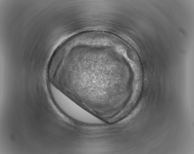 X0000113310989200910131104