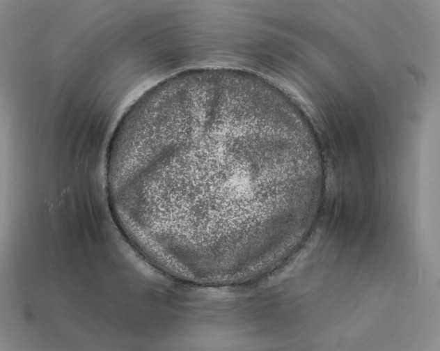 X0000113310990200910131104