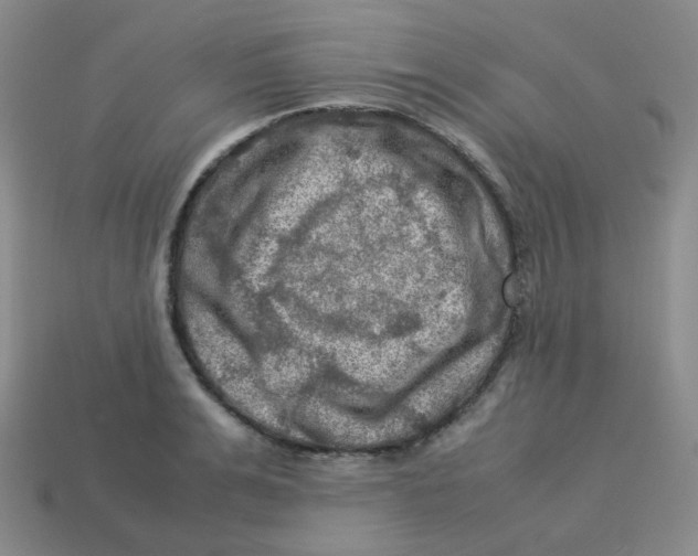 X0000113310991200910131104