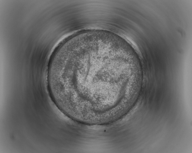 X0000113310992200910131104