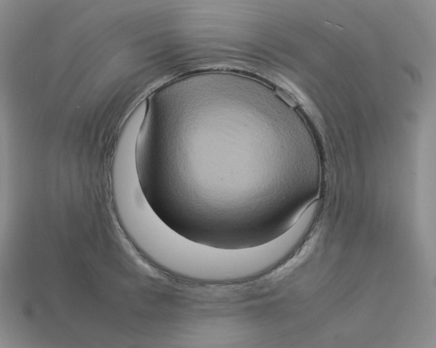 X0000113310993200910131104