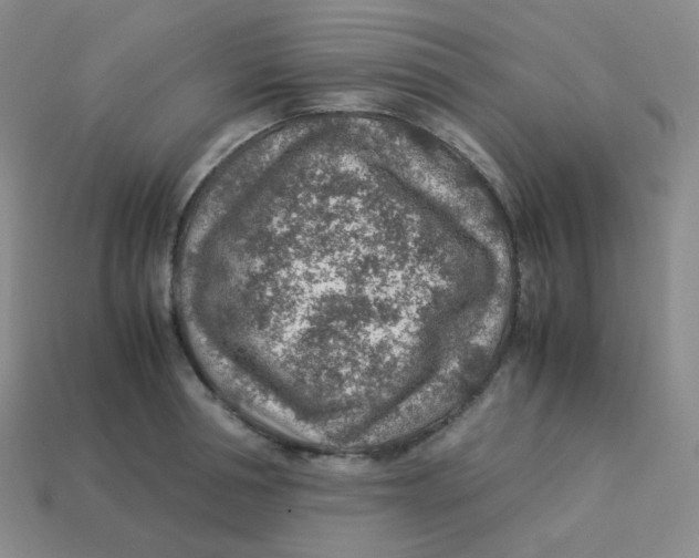 X0000113310994200910131104