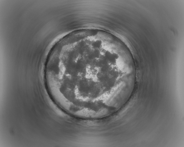 X0000113310995200910131104