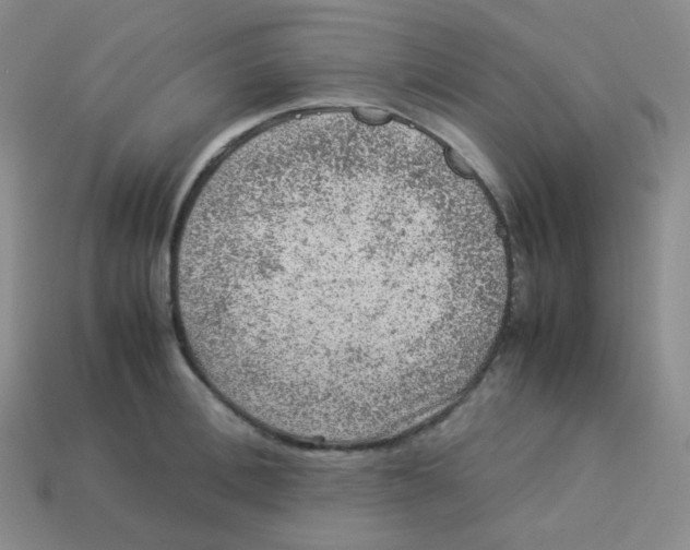 X0000113310996200910131104