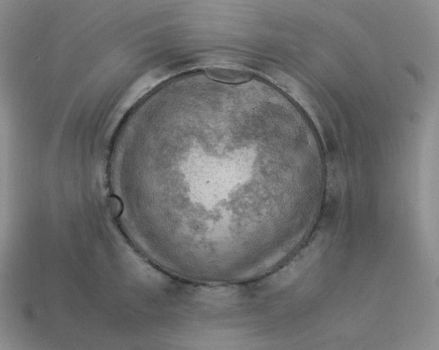 X0000113310997200910131104