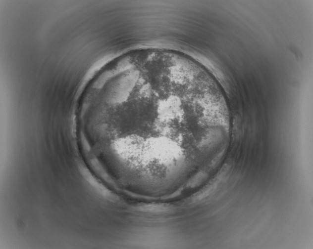 X0000113310998200910131104