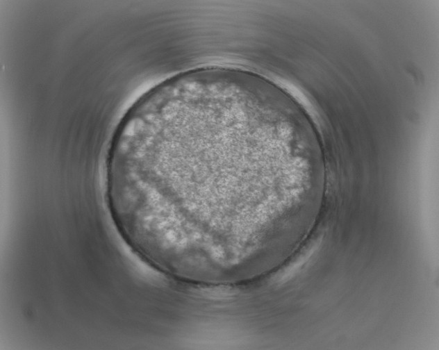 X0000113310999200910131104