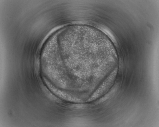 X0000113311000200910131104