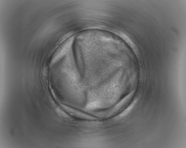 X0000113311001200910131104