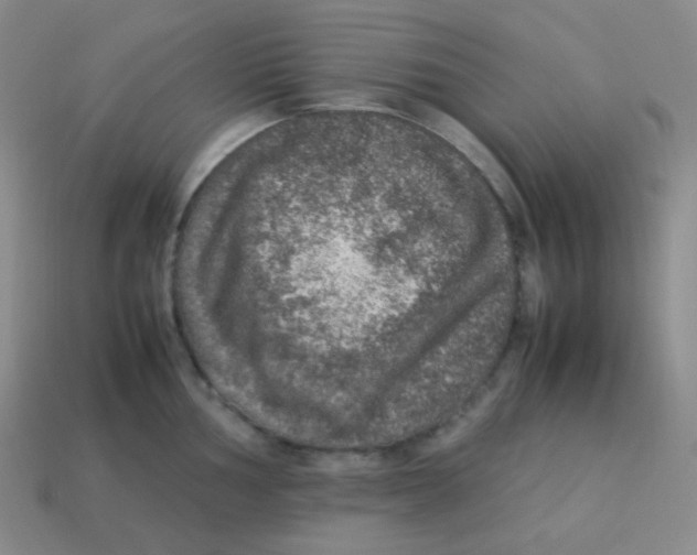 X0000113311002200910131104