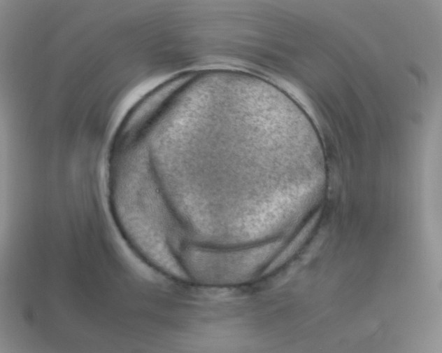 X0000113311003200910131104