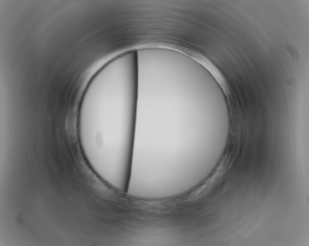 X0000113311004200910131104