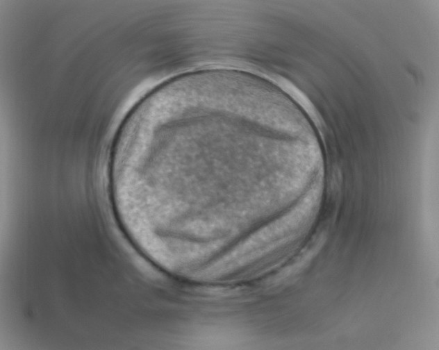 X0000113311005200910131104