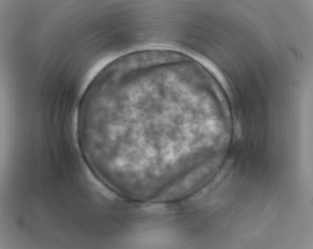 X0000113311006200910131104