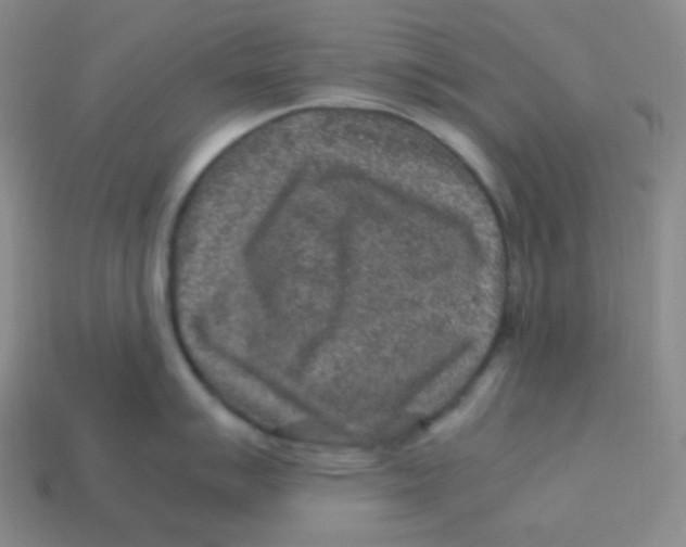 X0000113311007200910131104