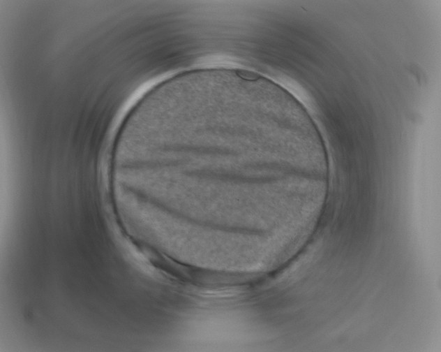 X0000113311008200910131104