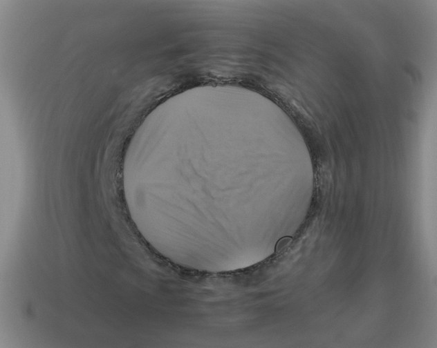 X0000113311009200910131103