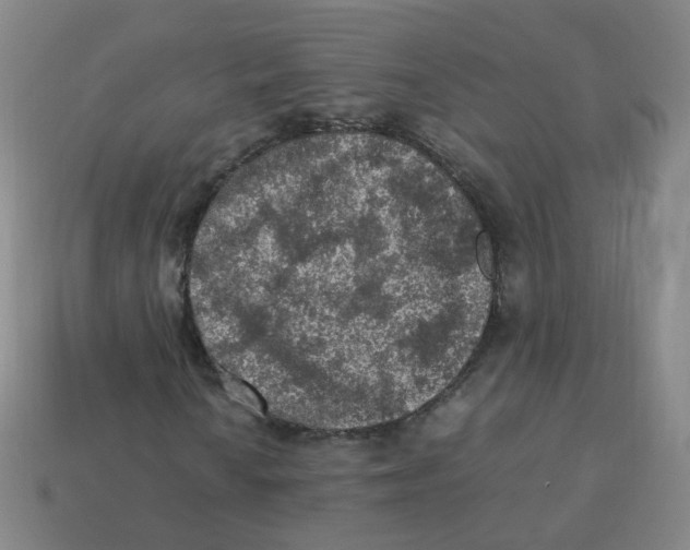 X0000113311010200910131103