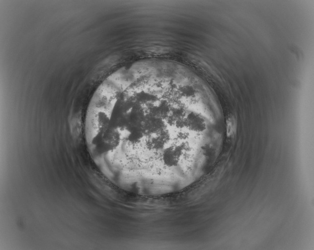 X0000113311011200910131103