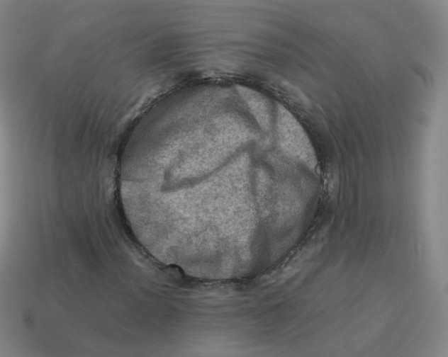 X0000113311012200910131103