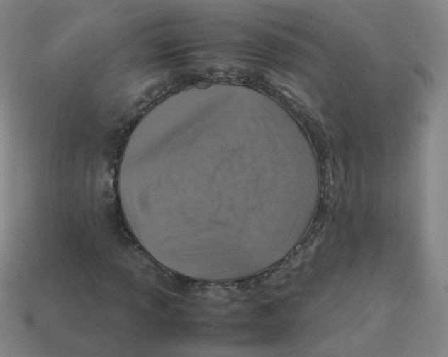 X0000113311013200910131103