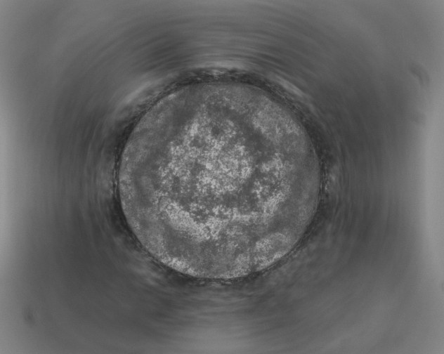 X0000113311014200910131103