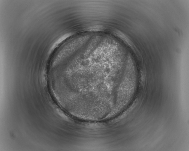 X0000113311018200910131103