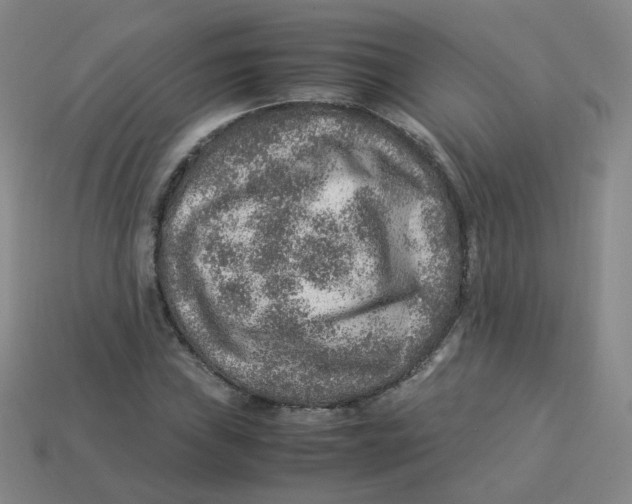 X0000113311019200910131103