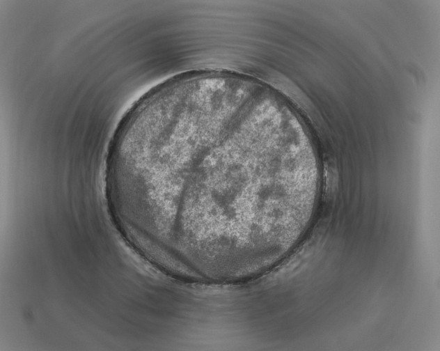 X0000113311020200910131103