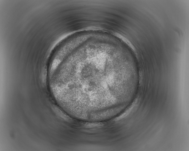 X0000113311021200910131103