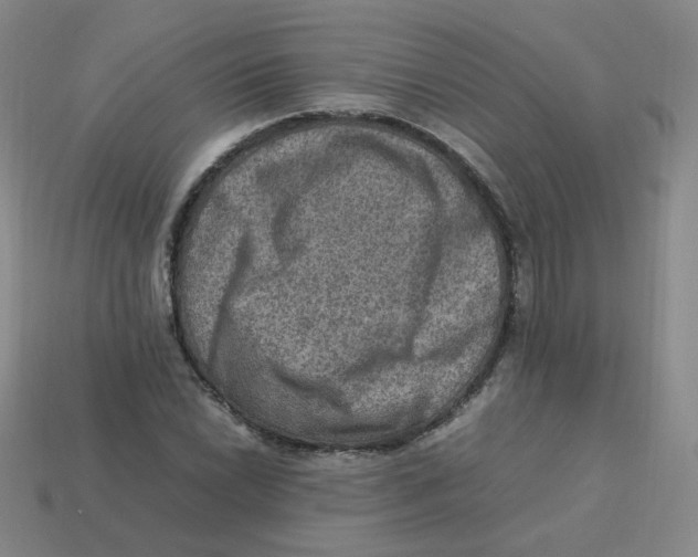 X0000113311022200910131103