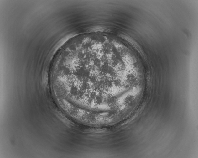 X0000113311023200910131103