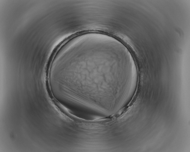 X0000113311024200910131103