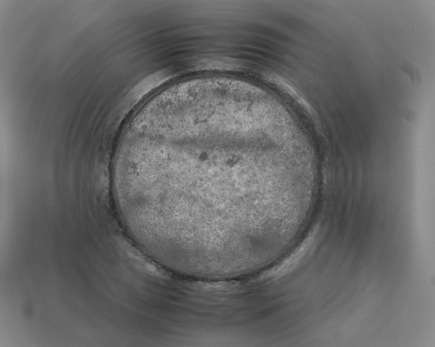 X0000113311025200910131103