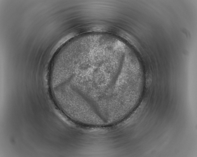 X0000113311026200910131103