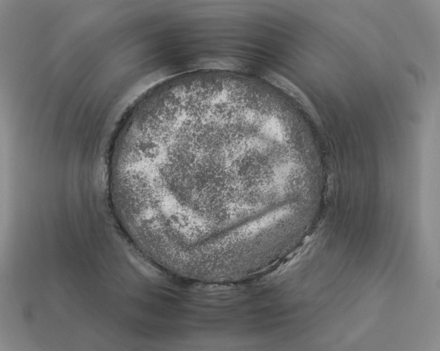 X0000113311027200910131103