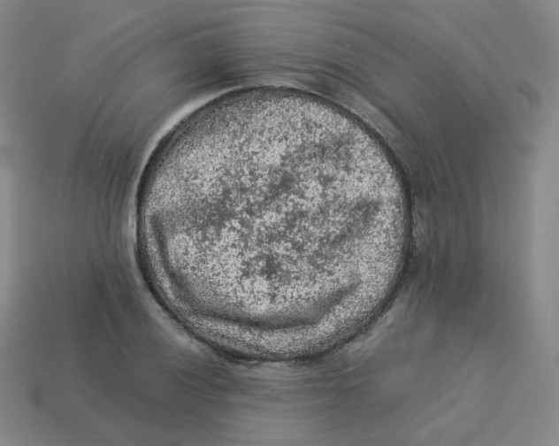 X0000113311028200910131103