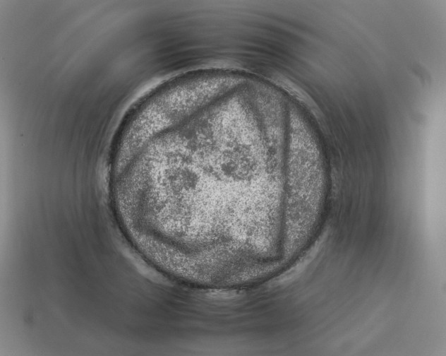 X0000113311029200910131103