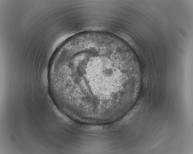 X0000113311030200910131103