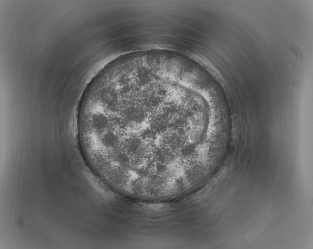 X0000113311031200910131103