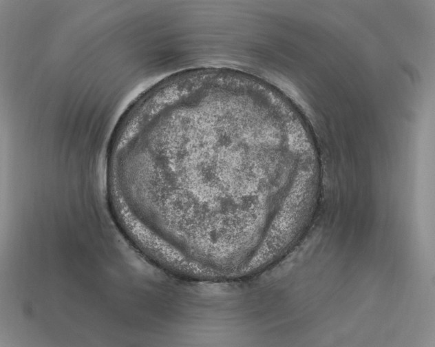 X0000113311032200910131103