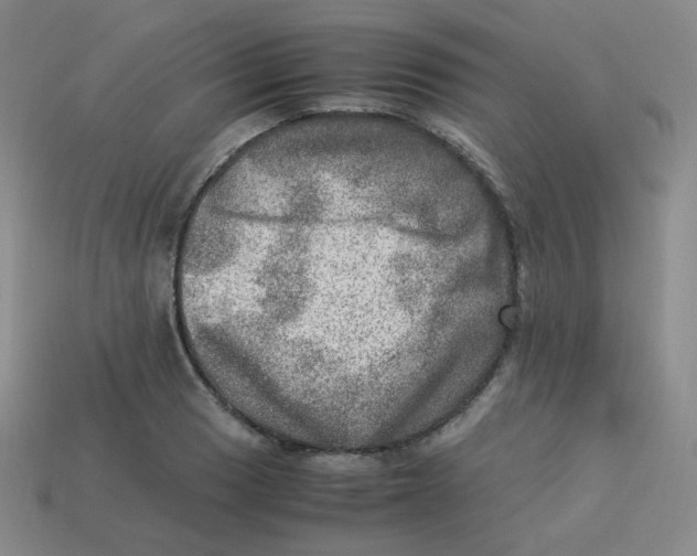 X0000113311033200910131103