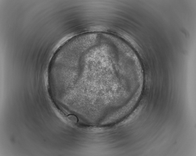 X0000113311034200910131103